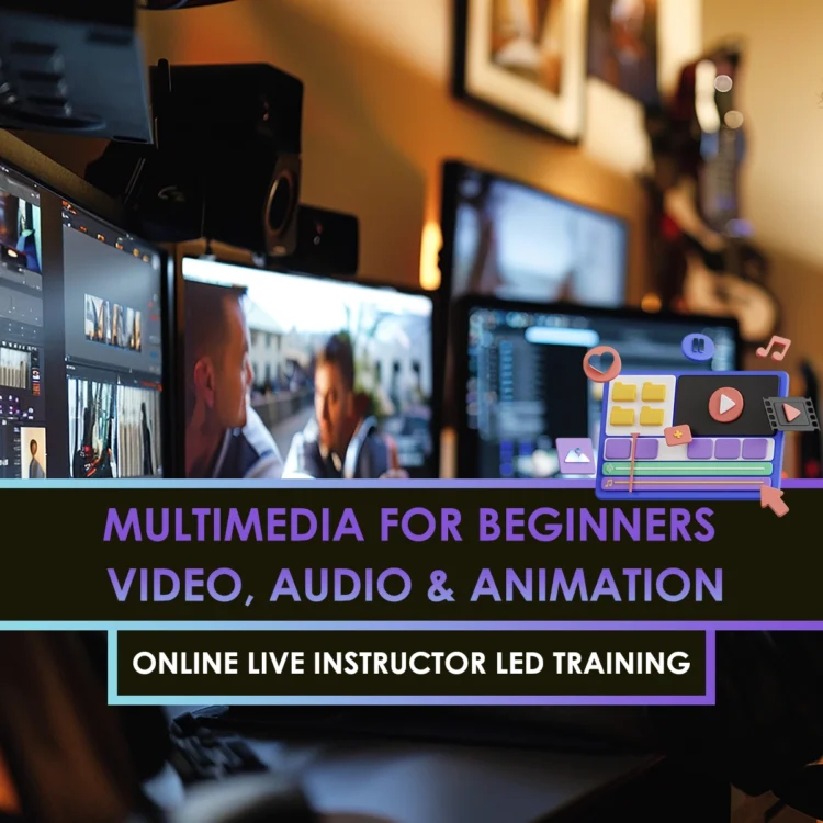 Online Multimedia Course for Beginners