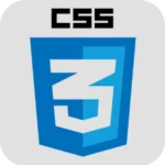 CSS