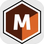 Mocha Pro