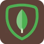 MongoDB