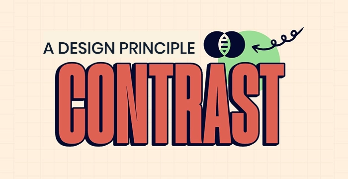 Essential Design Principles