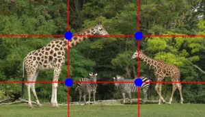 rule of thirds grid