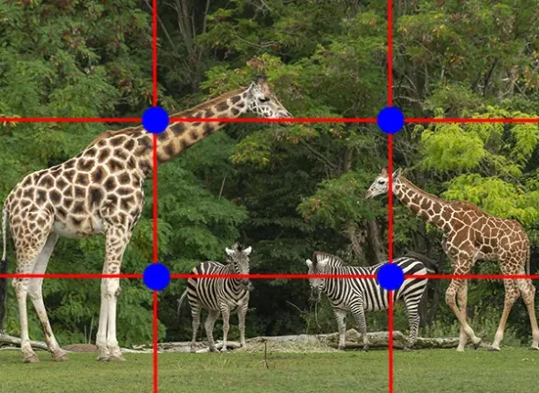 rule of thirds grid